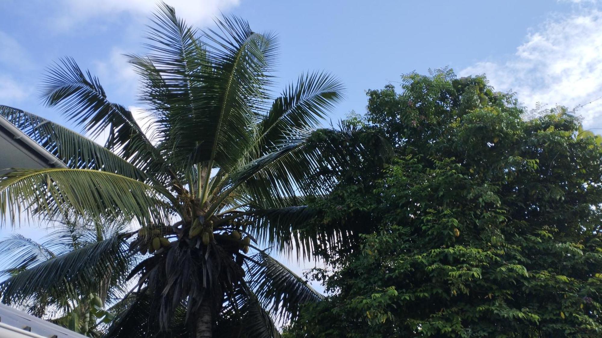 Dovass Self Catering Apartments Takamaka Bagian luar foto
