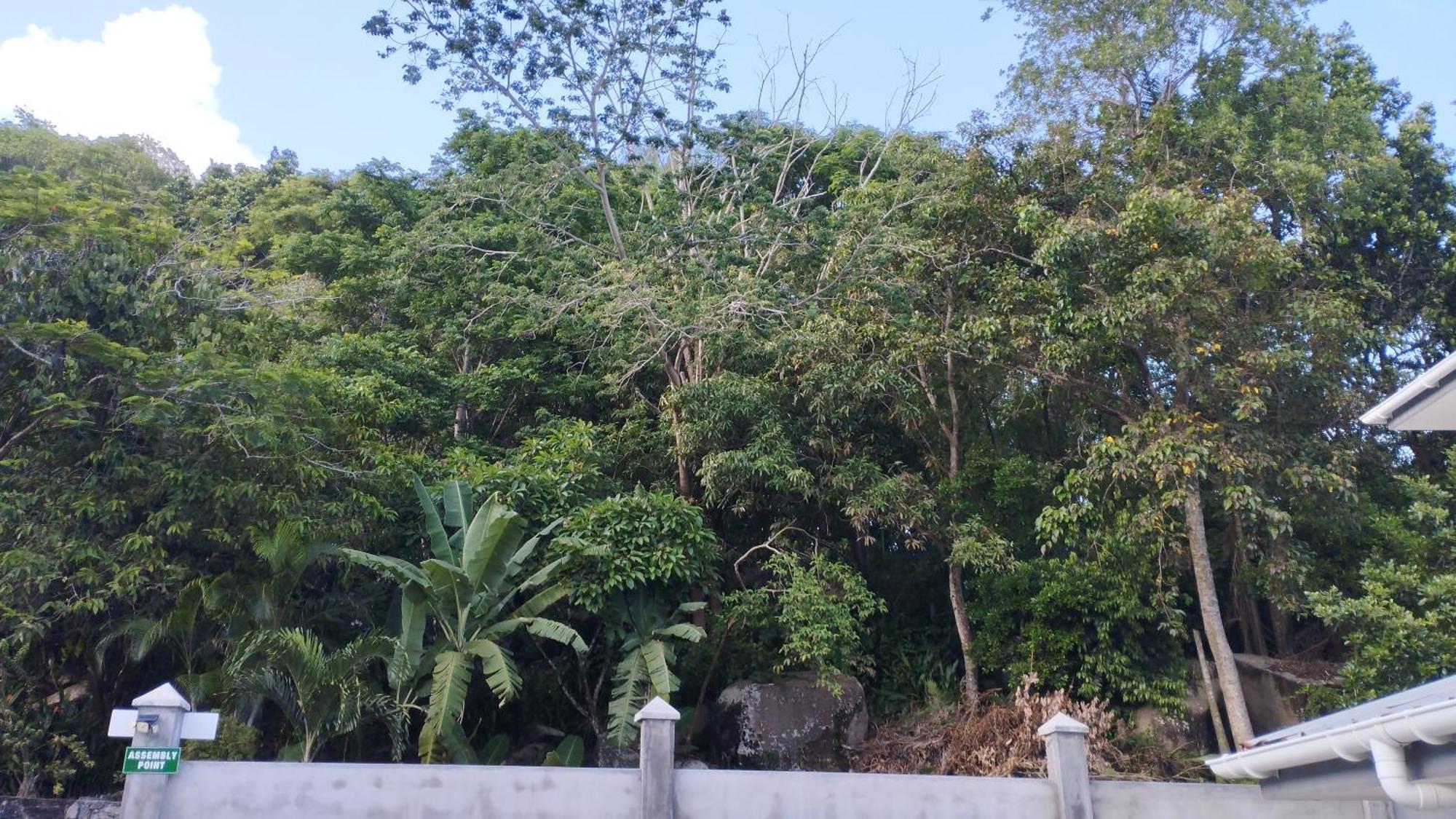 Dovass Self Catering Apartments Takamaka Bagian luar foto